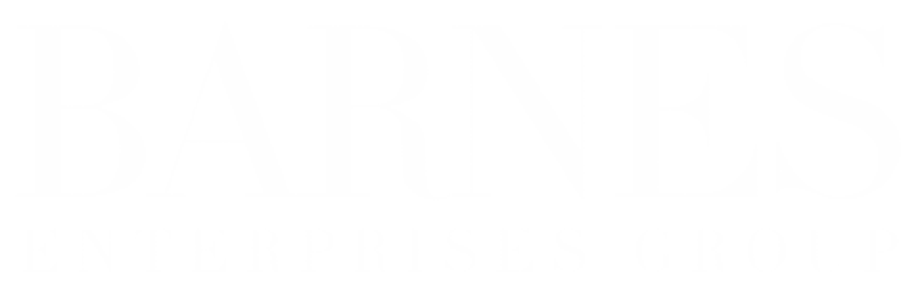 Barnes Enterprises Group